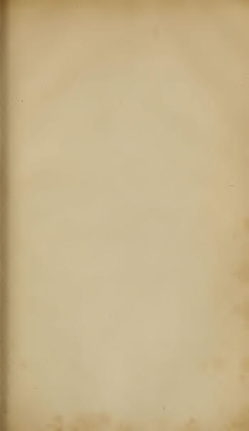 Image of page 341